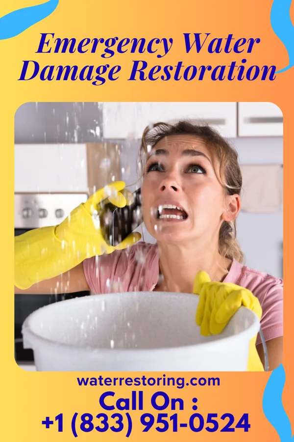 Emergency Water Damage Restoration in Homer, GA